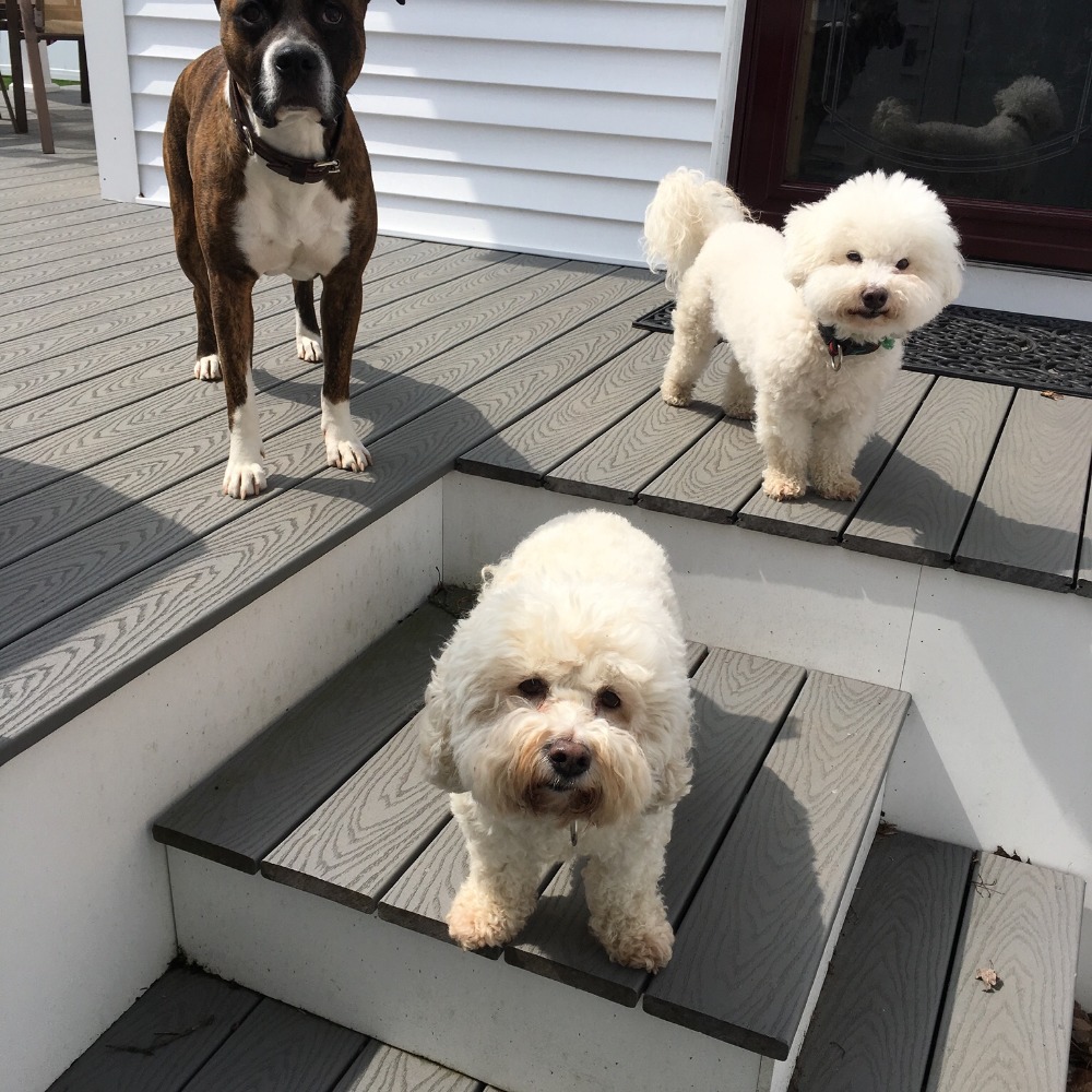 Meet your Posher, Magdalen